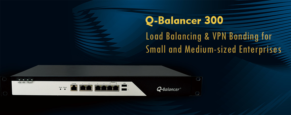 Q-Balancer 300